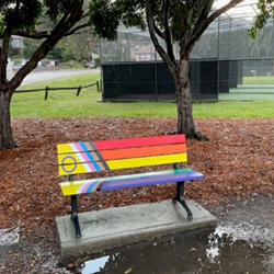 Rainbow bench at Carss Park flats